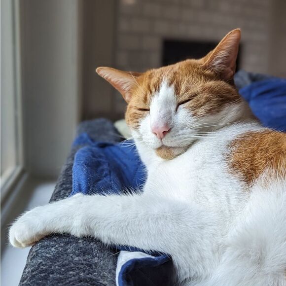 Loves sharing - Picture 8 of 16